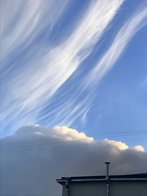 из окна - zavitok * из окна - zavitok *