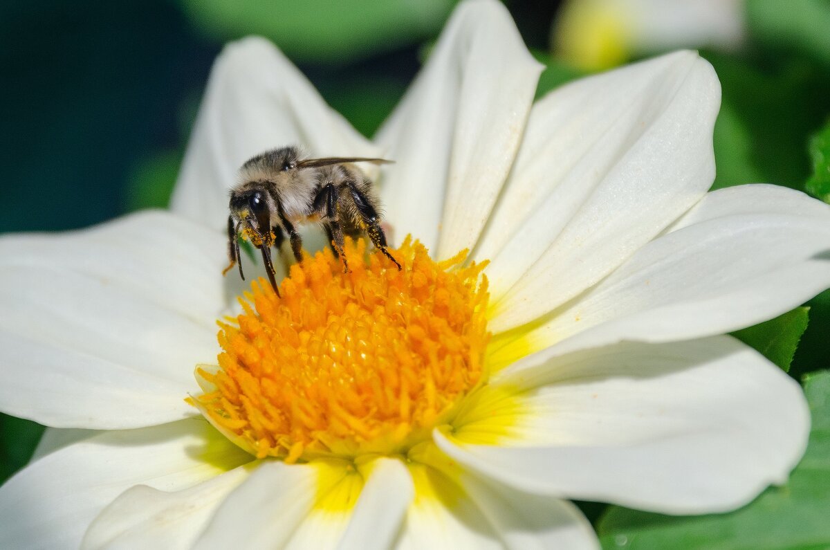 *** - Виктор Иванович Чернюк *** - Виктор Иванович Чернюк