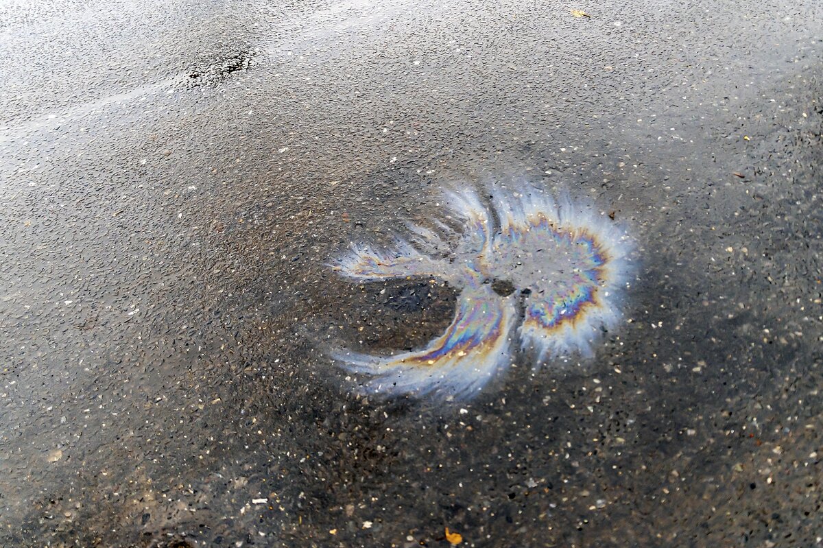 Радужный ноябрь - Валерий Иванович