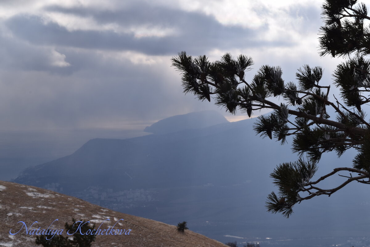 Природа Крыма - Amazing Cosmea