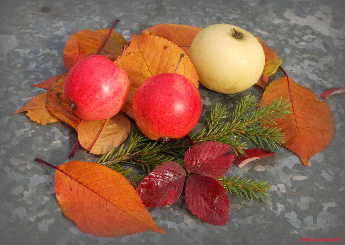Натюрморты ноября... - Андрей Заломленков