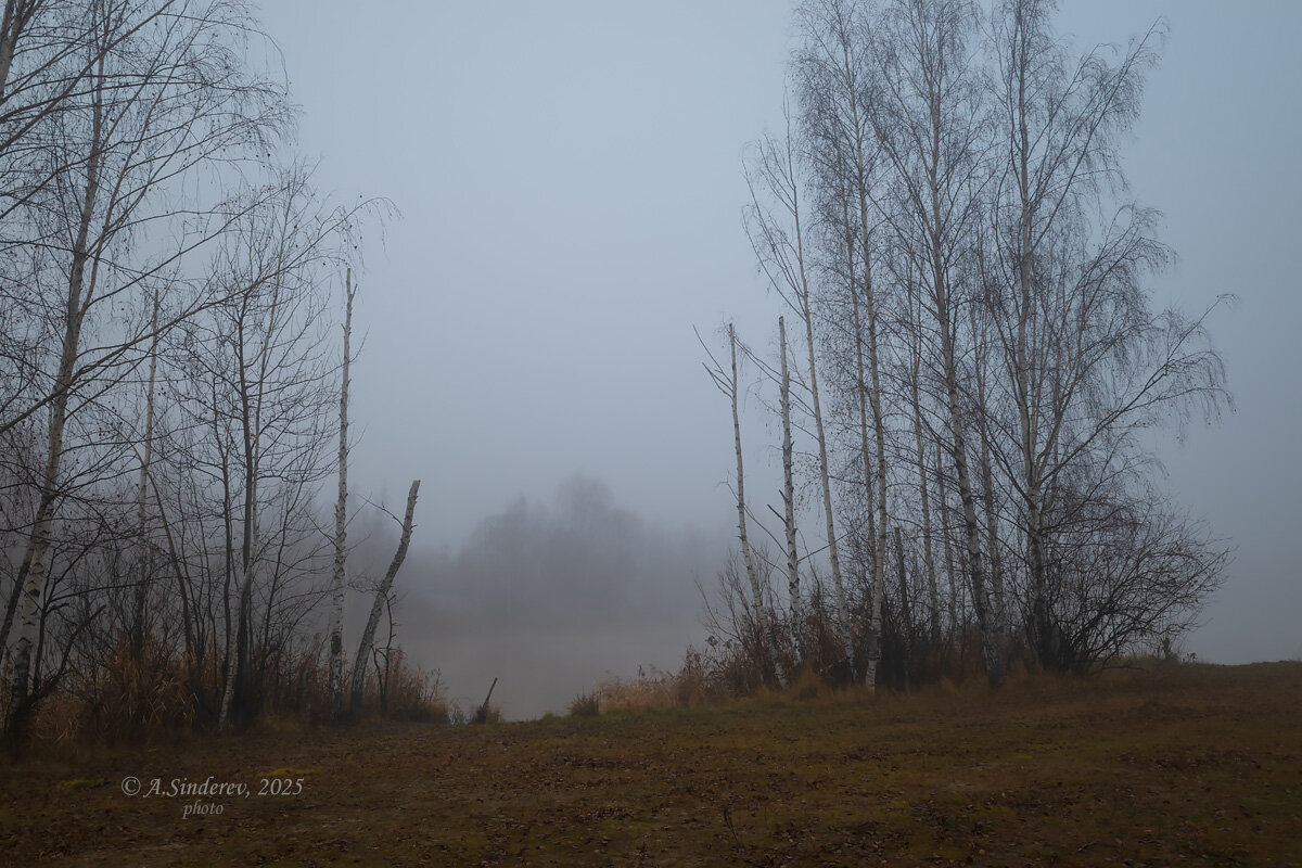 Туманный берег - Александр Синдерёв