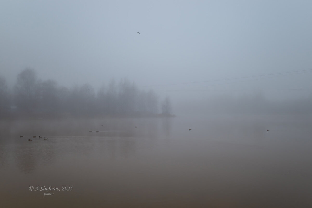 Туманный день на реке - Александр Синдерёв