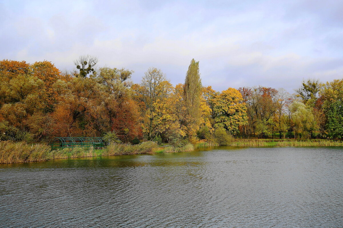 Картинки осени - Рита Симонова