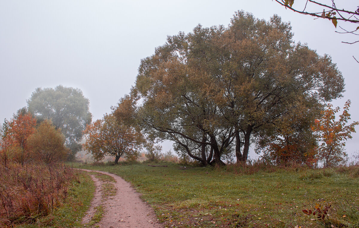 дорога по берегу р, Волга - Владимир Зеленцов