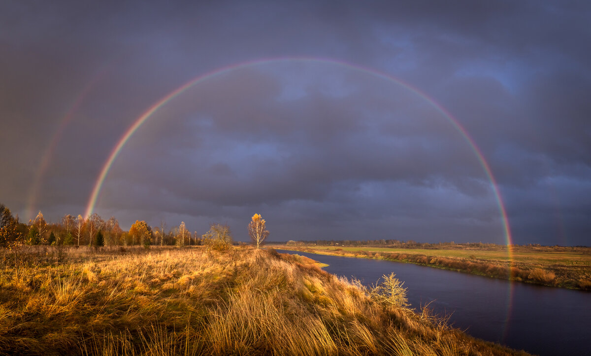 **** - Елизавета .