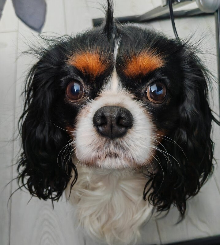 Взгляд - Ольга Прикуль