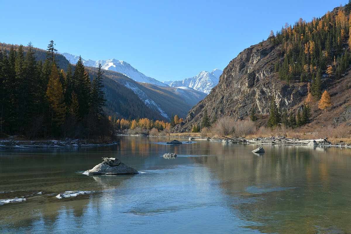 Свободное течение Чуи - Валерий Медведев