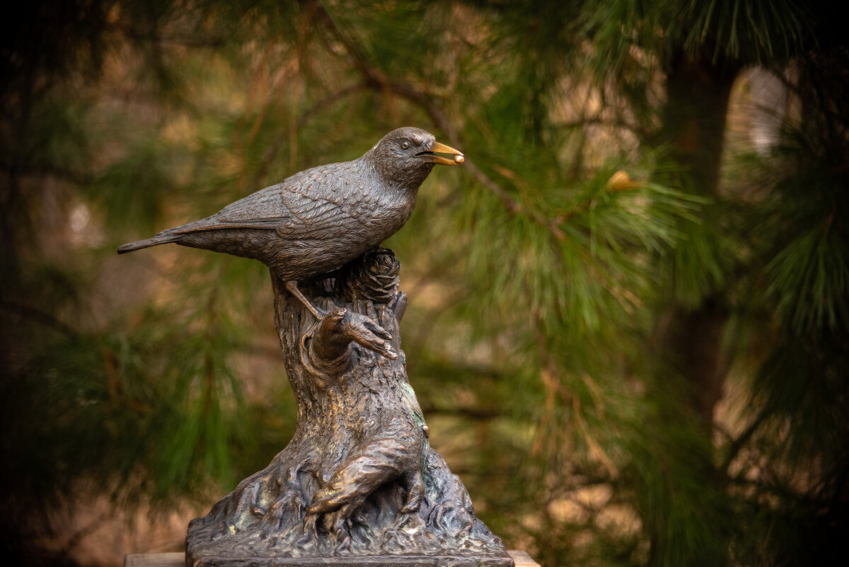 Томская Кедровка - Grishkov S.M.