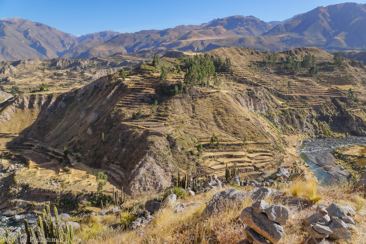 В долине реки Колка... - Владимир Жданов