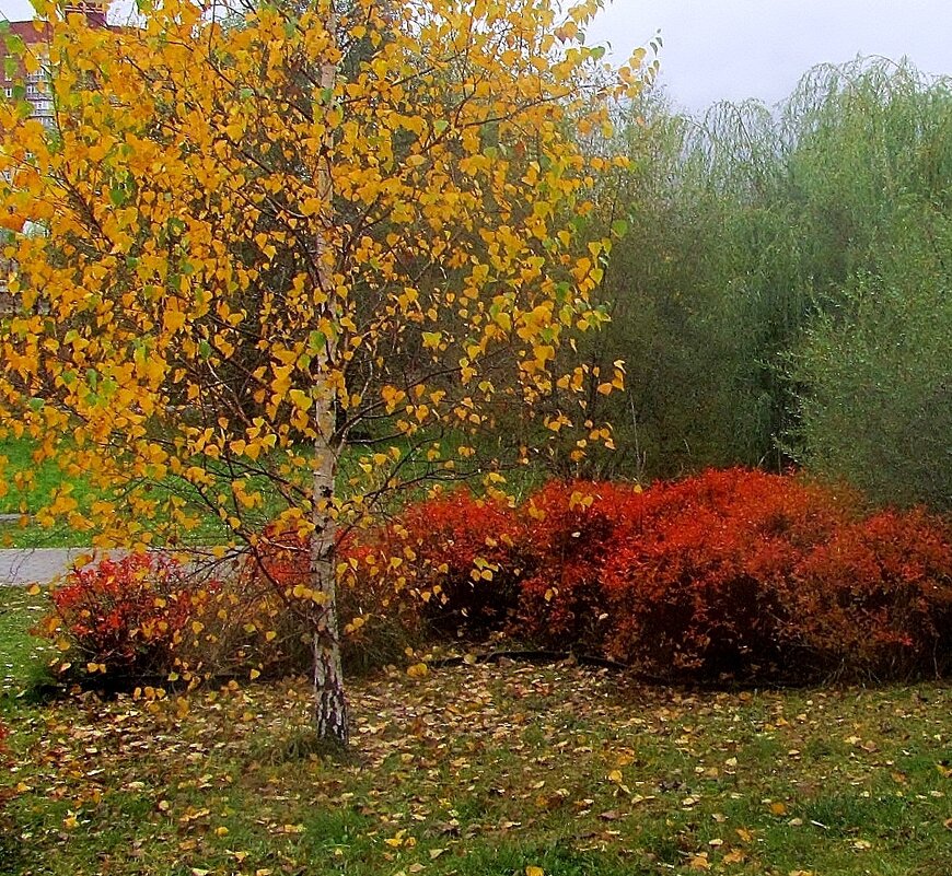 ..полянка на берегу Яузы.. - galalog galalog