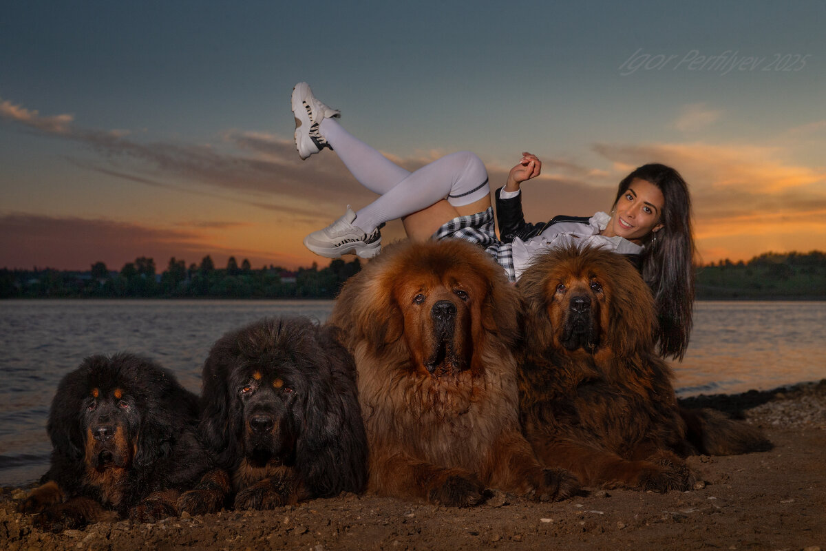 суета  вокруг дивана - игорь 