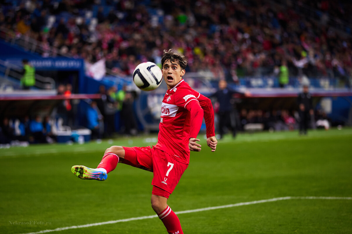 *** - Денис Некрасов