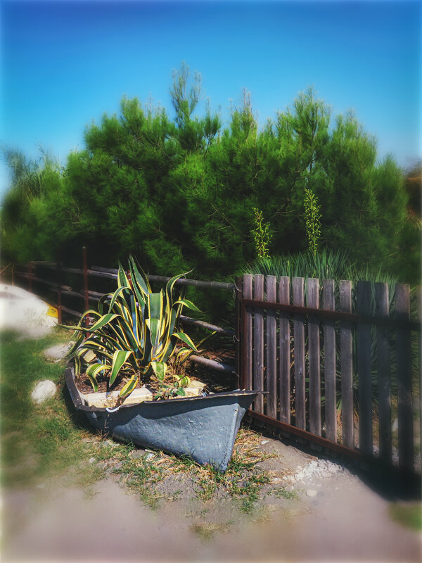 Клумба - AZ east3