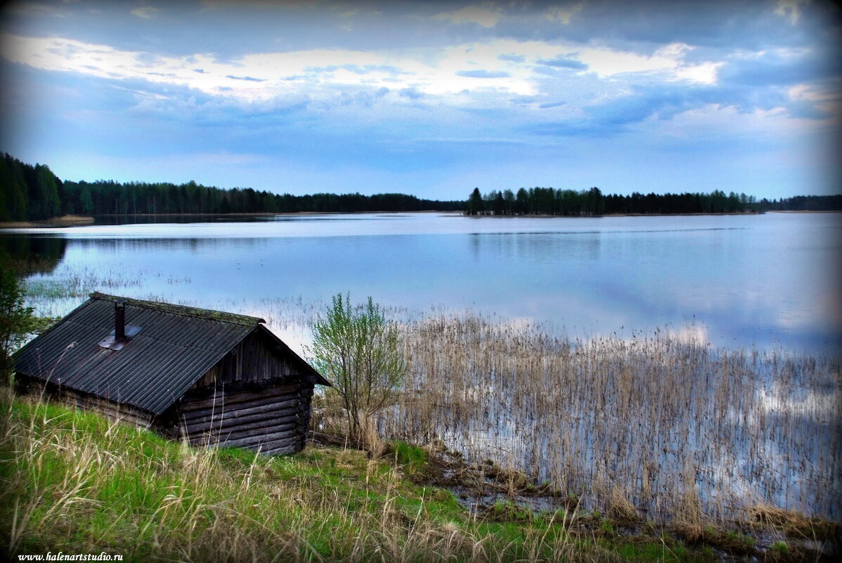 Деревенское озеро - Игорь Корф