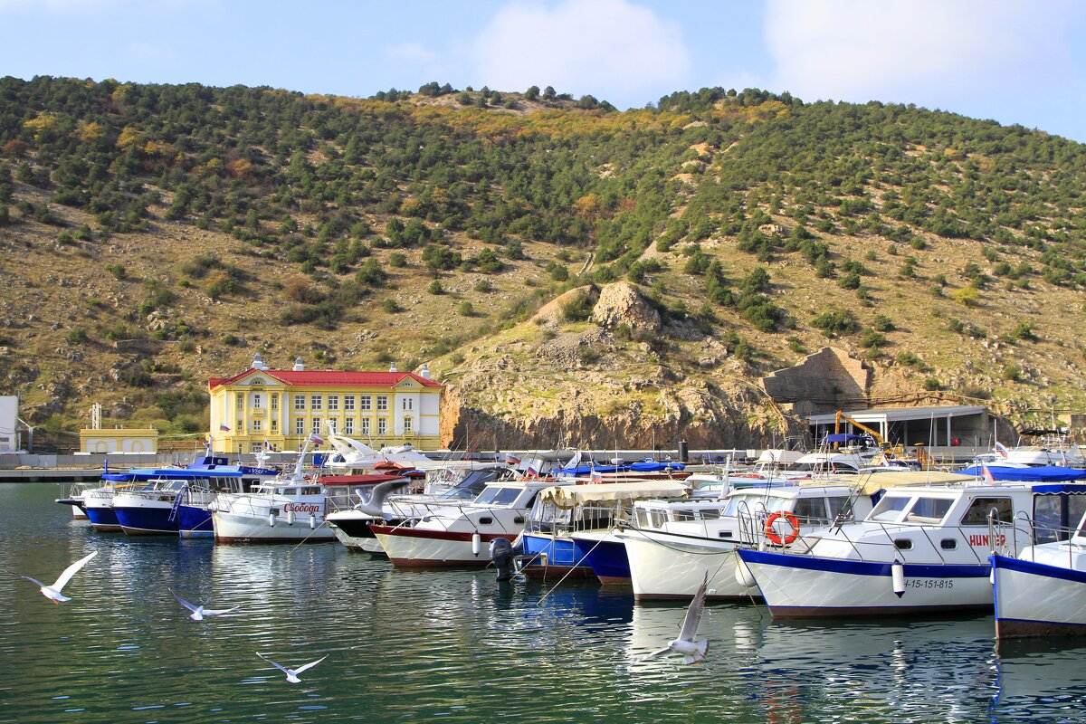 Чайки кружат - Геннадий Валеев