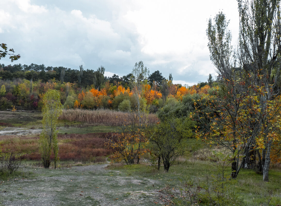 Пейзажи  Крыма - Валентин Семчишин