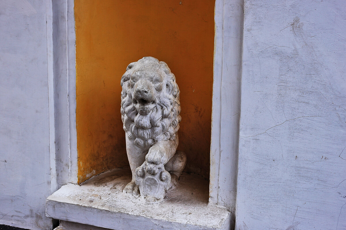 Лев в парке - Юрий Гайворонскiий