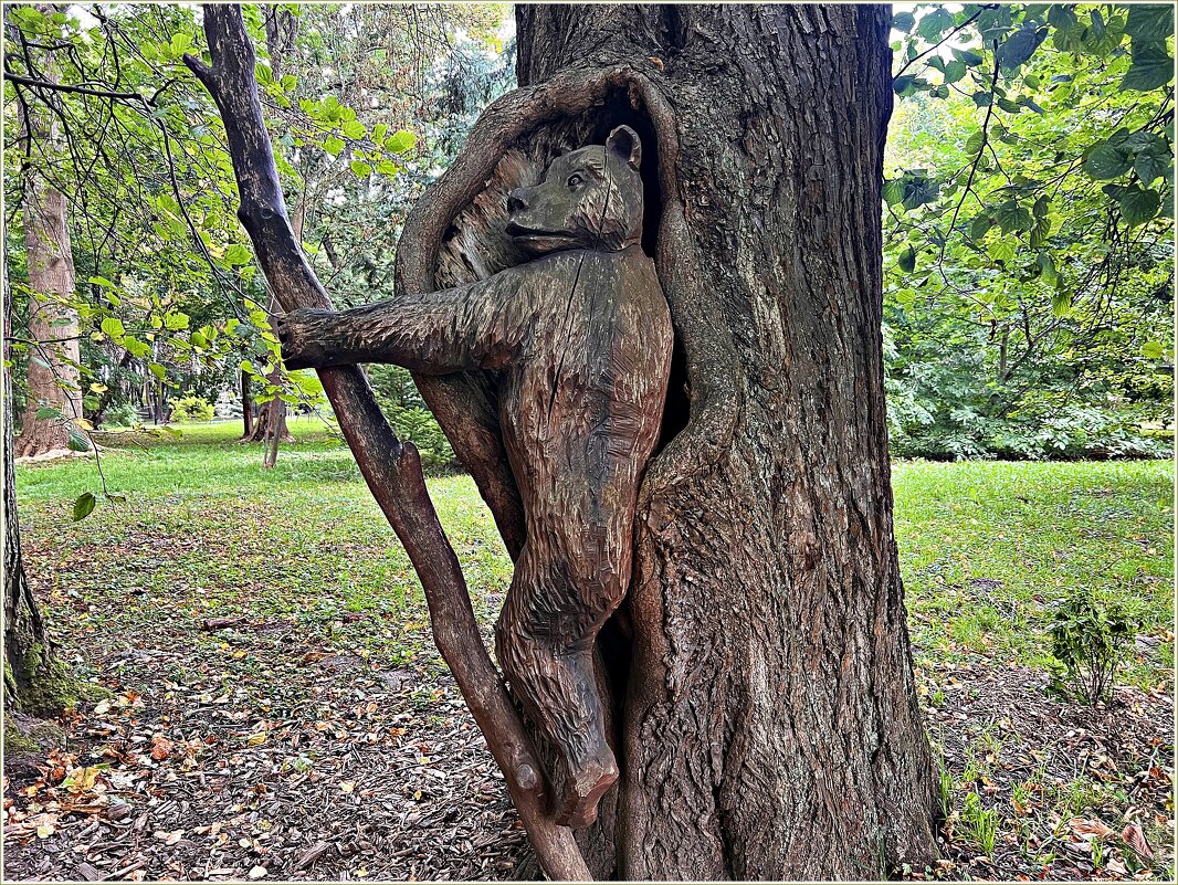 В парке им. Беккера. - Валерия Комова