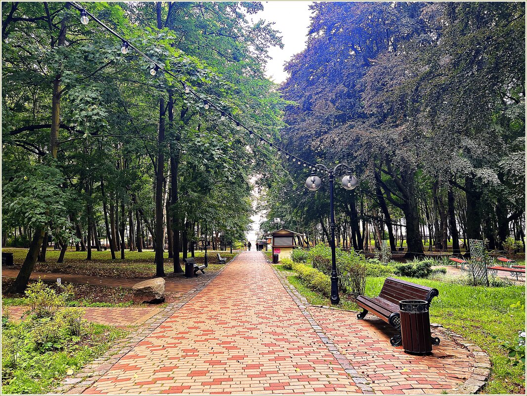 Аллея парка им. Беккера. - Валерия Комова