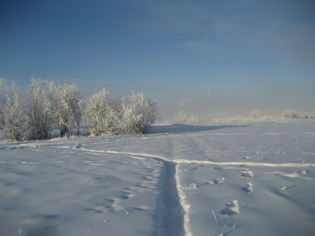 Морозное утро - Anna Ivanova
