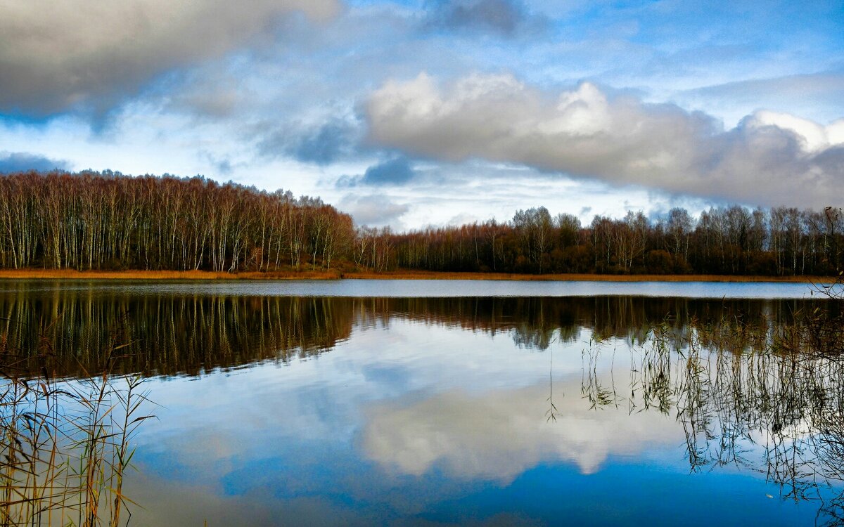Ноябрь на Смоленщине. - Милешкин Владимир Алексеевич 
