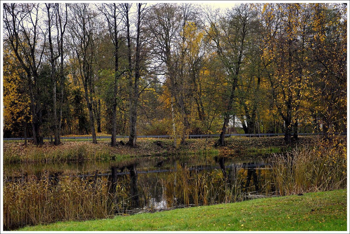 *** - Aleksandr Gal *** - Aleksandr Gal