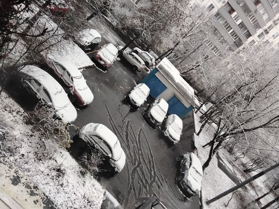 В нашем городе вновь первый снег - Дмитрий Никитин