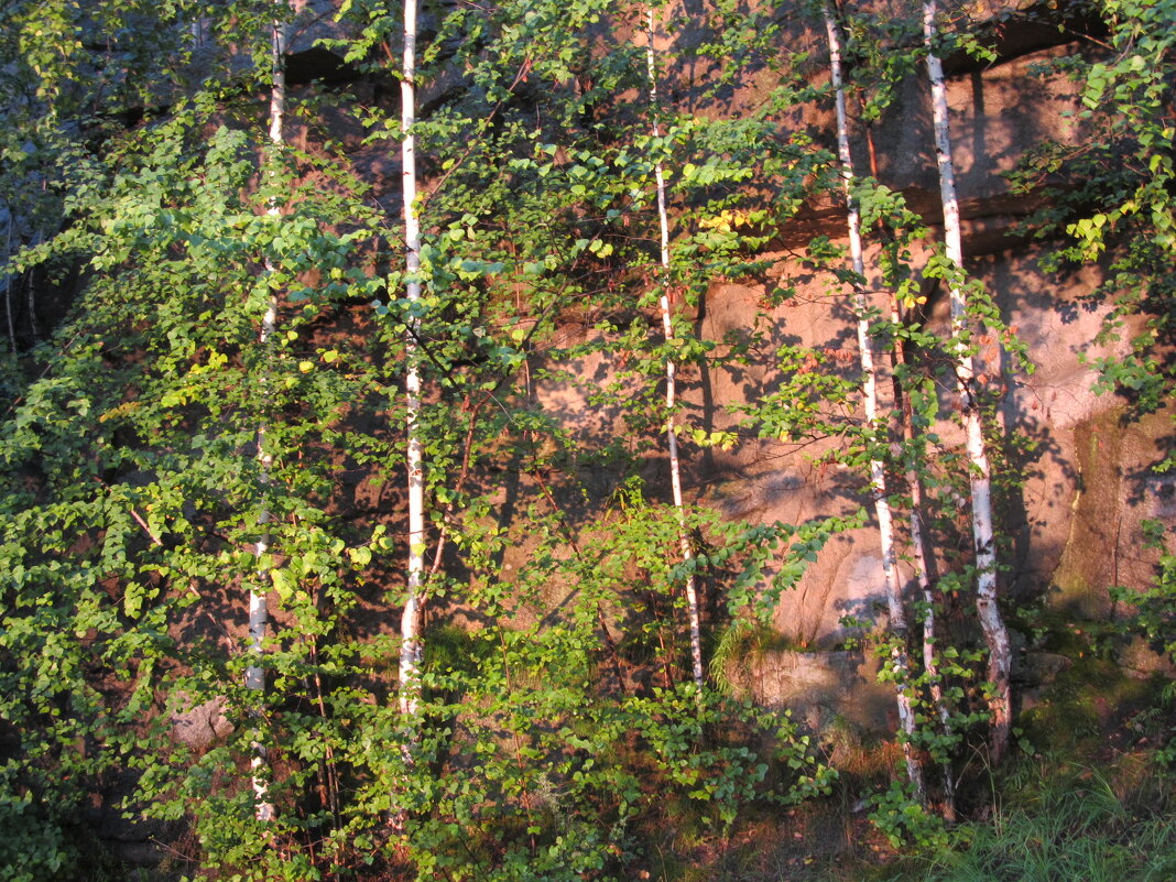 В Радуга-парке - Елена Шаламова