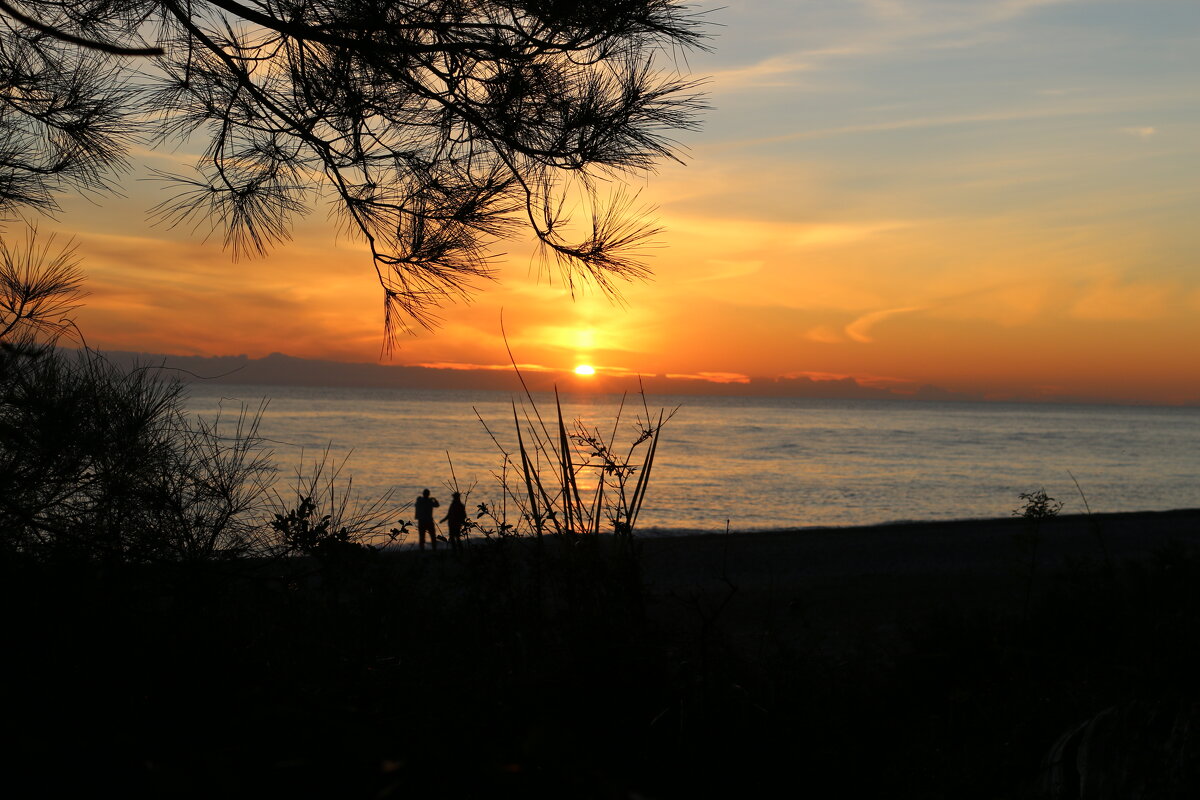 Вечер у моря - Ольга 