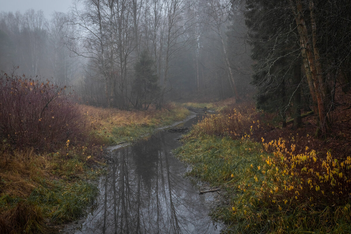 **** - Елизавета .