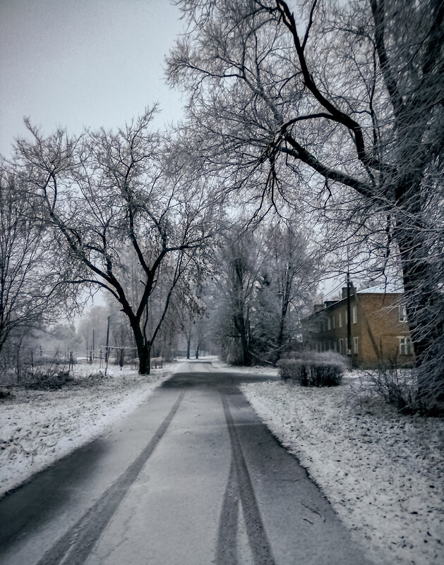 Первый снег - Андрей Дворников