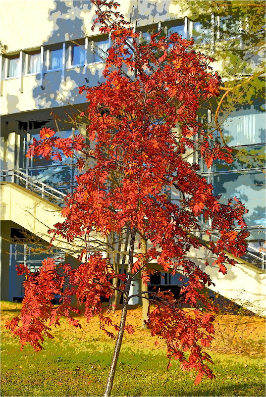 ЭТЮД - Юрий Владимирович 34