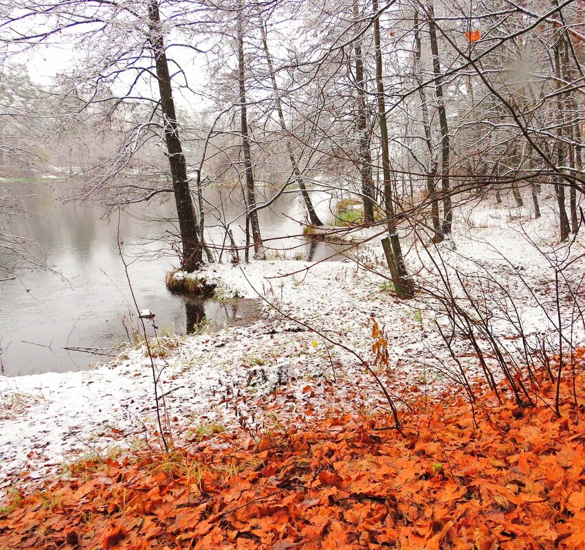 Снег и опавшая листва - Андрей Снегерёв