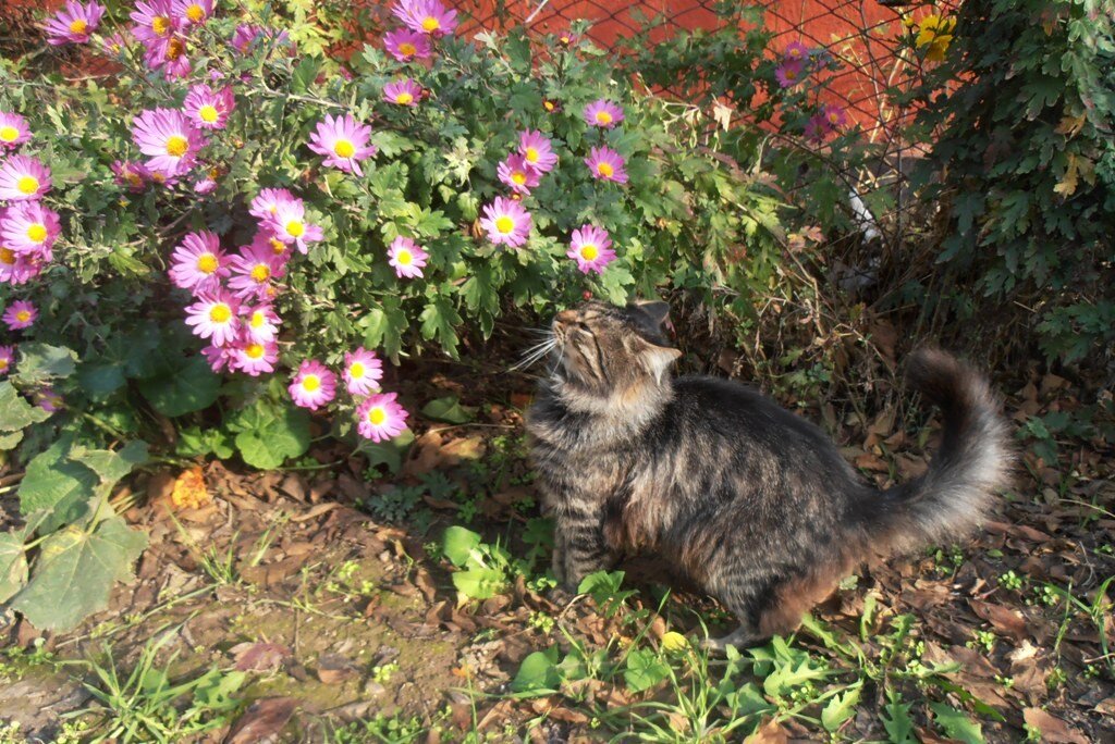 Тихая беседа - Наталья 