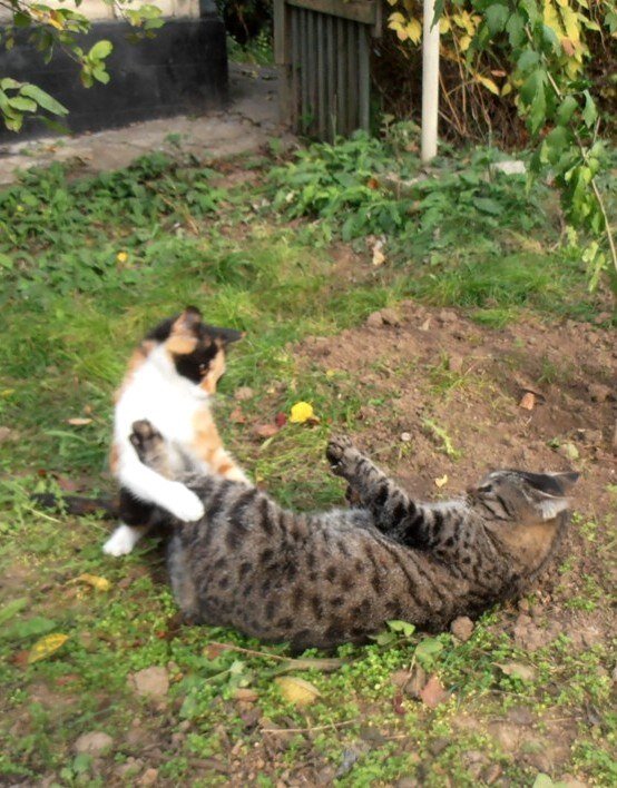 Маленькие хулиганки - Наталья 