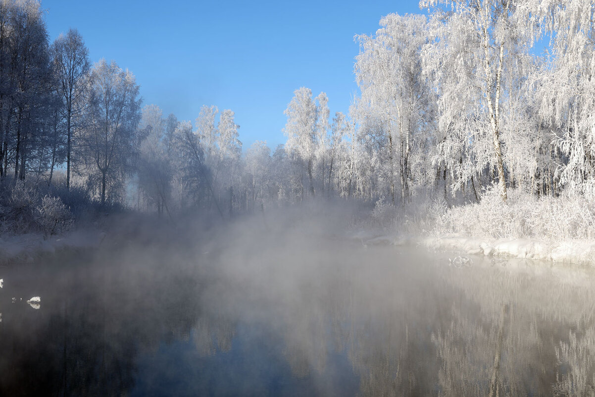 Холодное утро... - владимир 