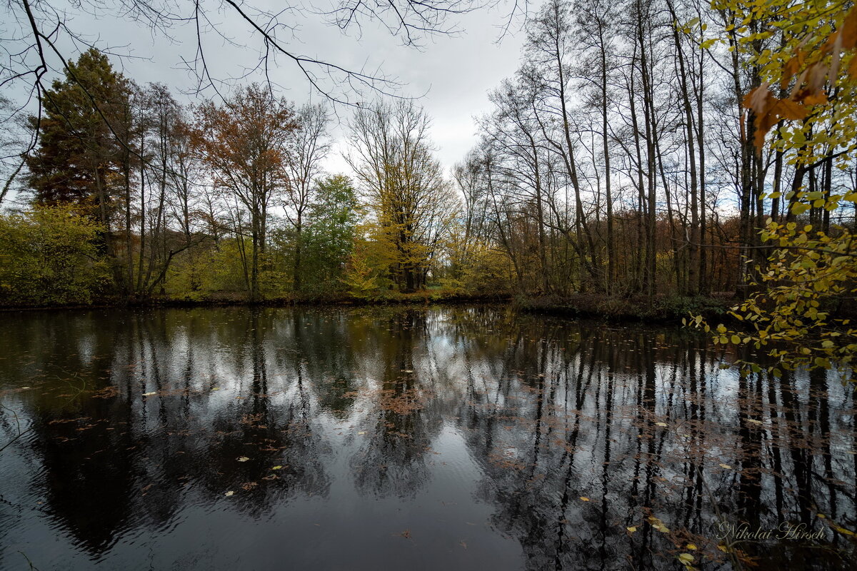 *** - Николай Гирш