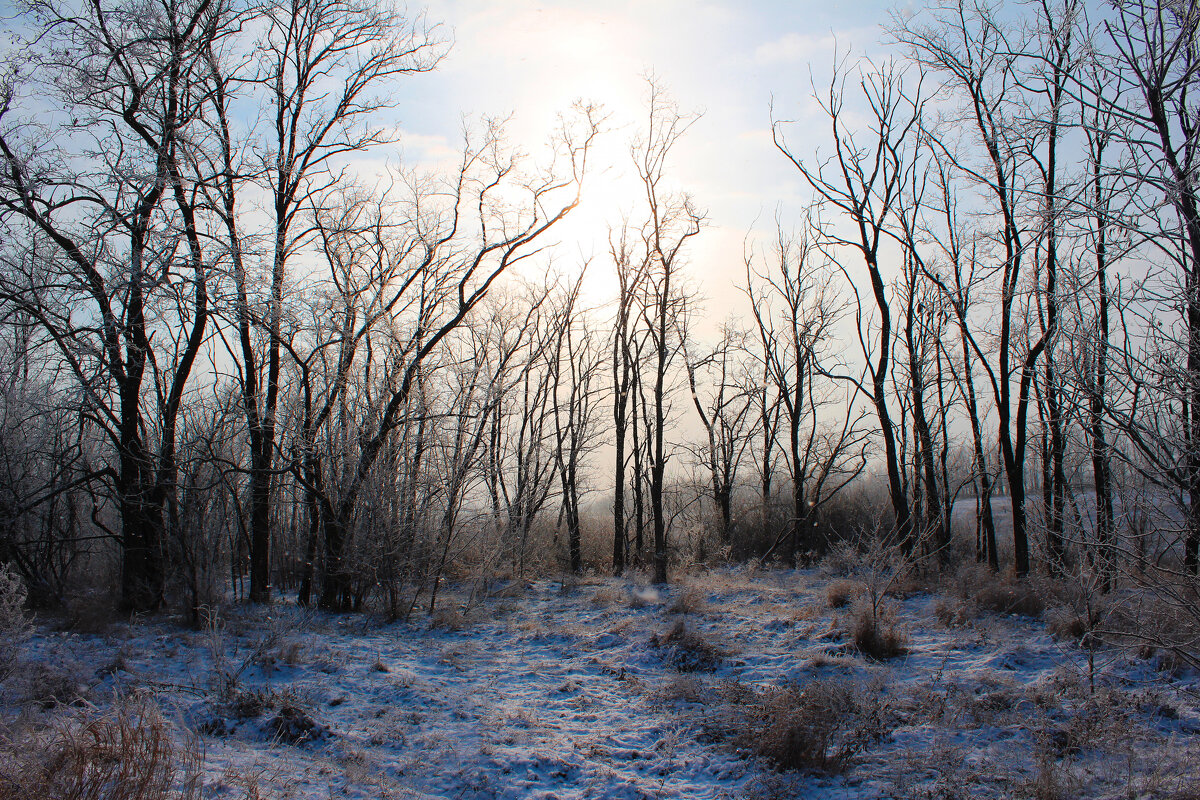 Первый снег. - Александр 