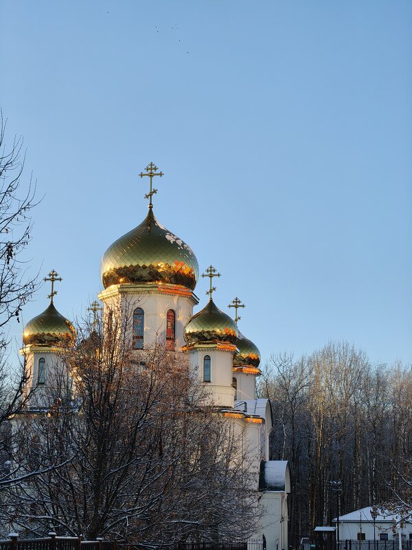 Питер, первый снег - Андрей 