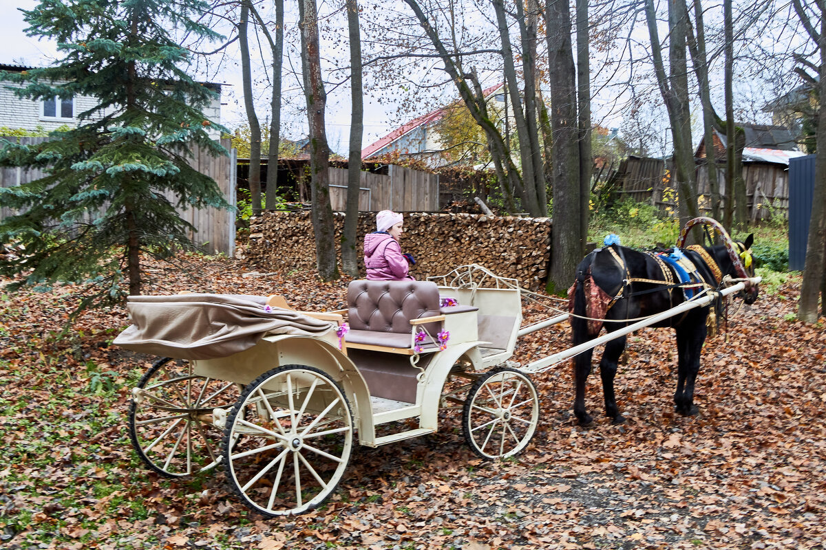 Лошадь с бричкой - Алексей Р.