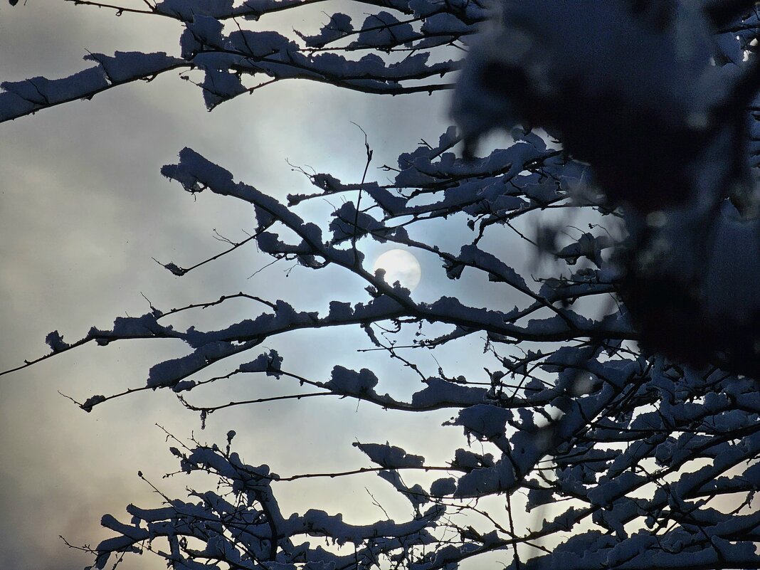 Луна в облоках - Мария Яковлева