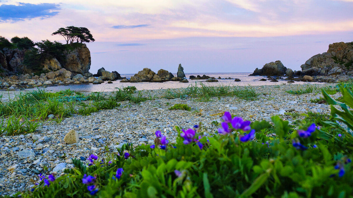 Морской пейзаж заповедной бухты - Татьяна Маркова