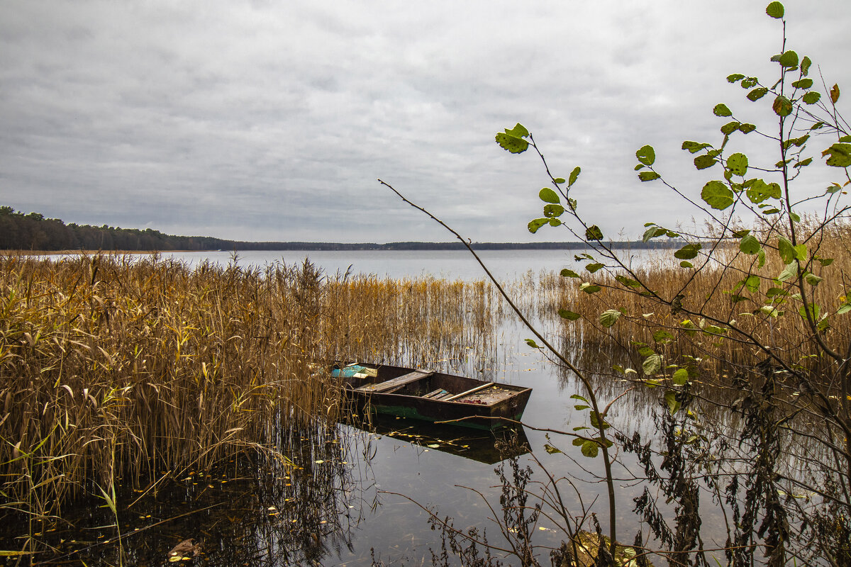 НА ПРИКОЛЕ. - Николай 