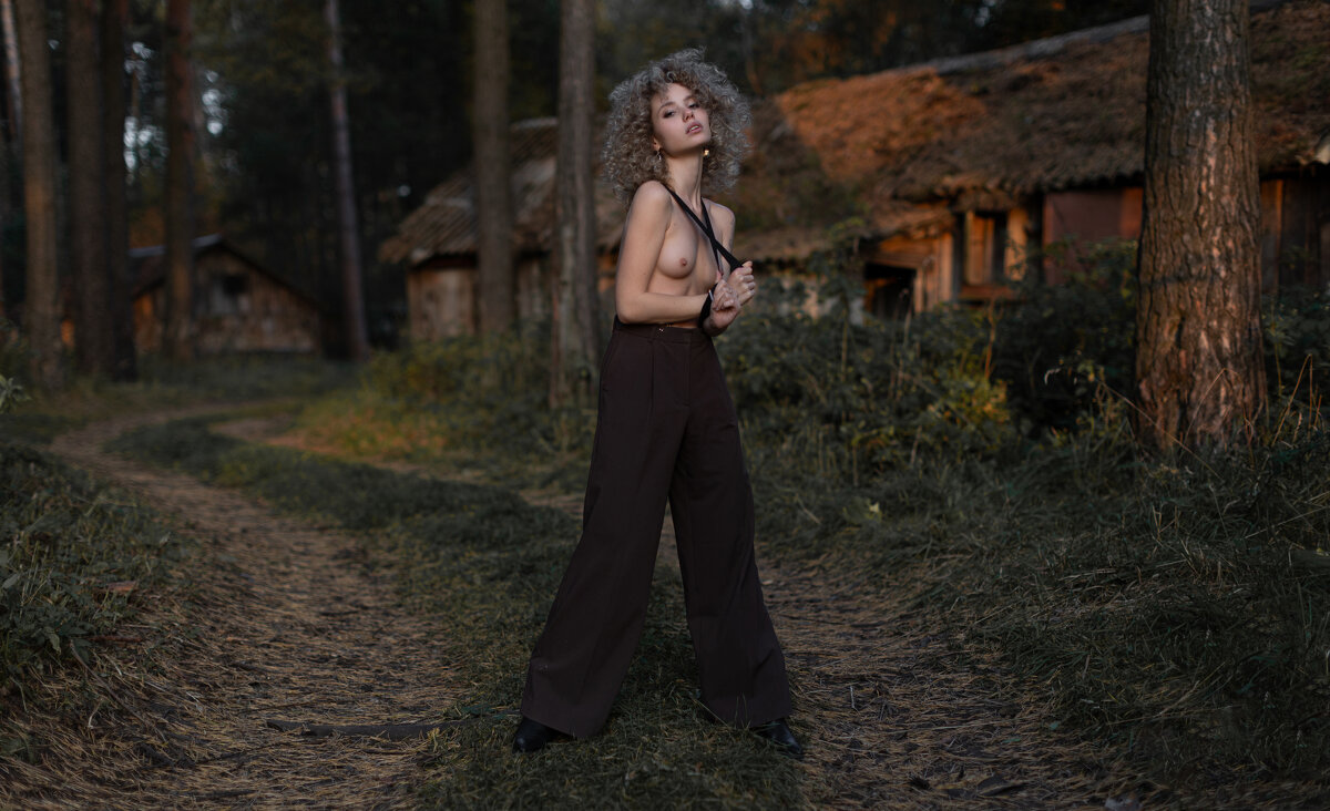 домик в деревне - Андрей Фролов