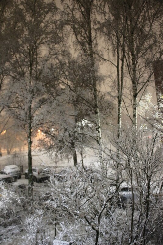 Шел первый снег - Наталья Герасимова