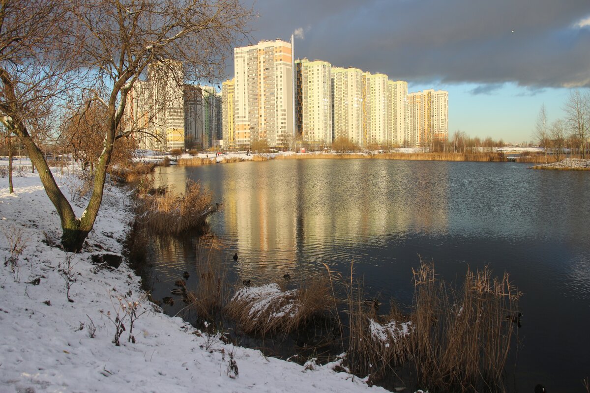 Первый снег и редкое солнце - Наталья Герасимова