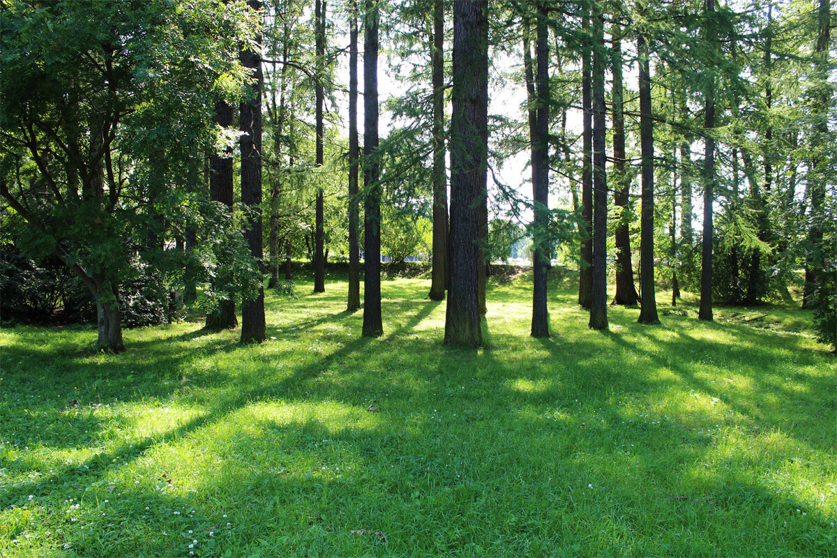 Удельный парк в Санкт - Петербурге - Любовь ***