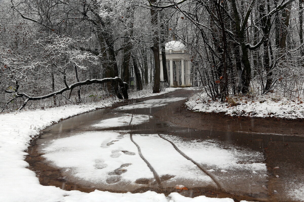 Царицыно утром 15 ноября - Михаил Бибичков
