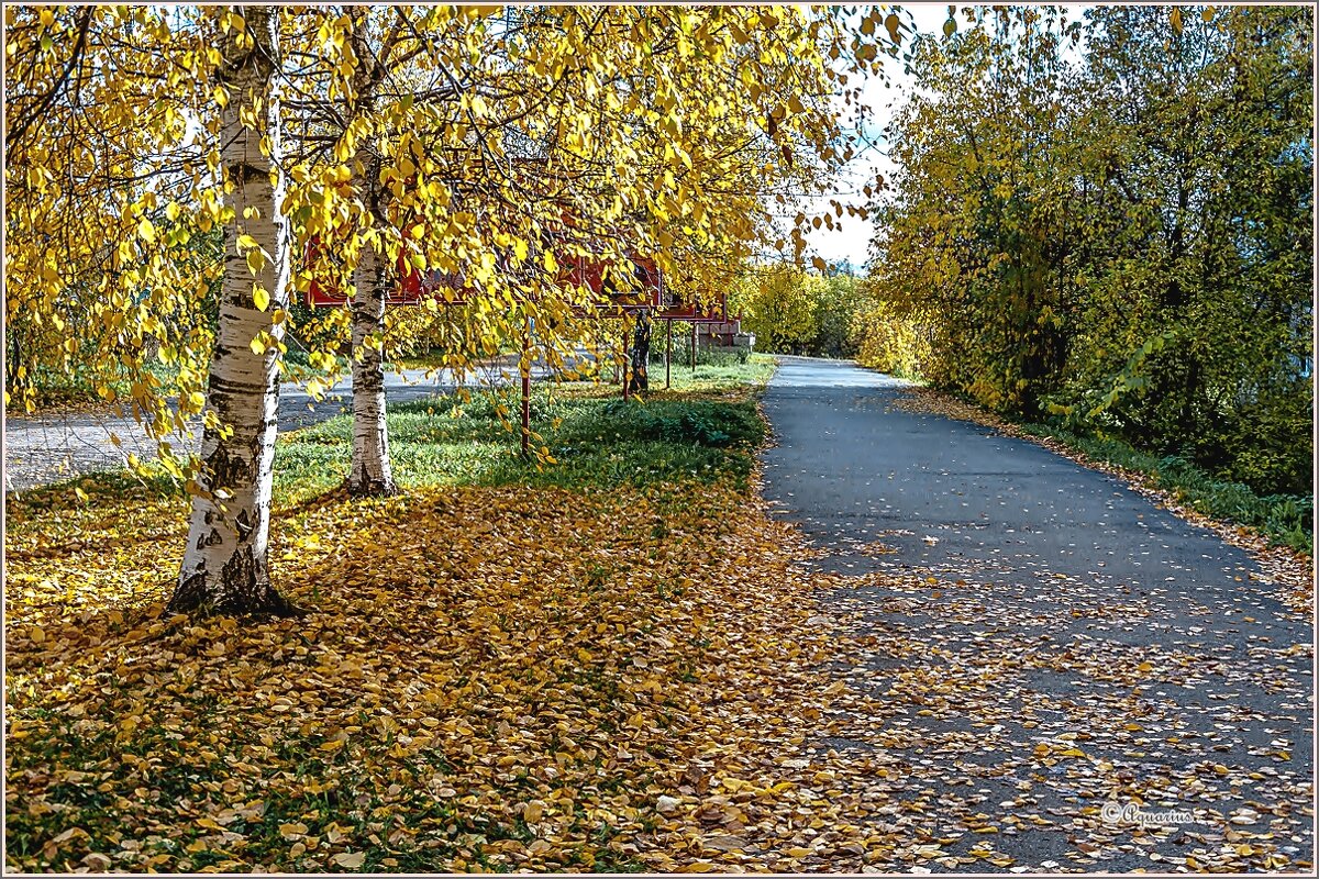 Про сентябрь... - Aquarius - Сергей